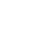 Link Speed